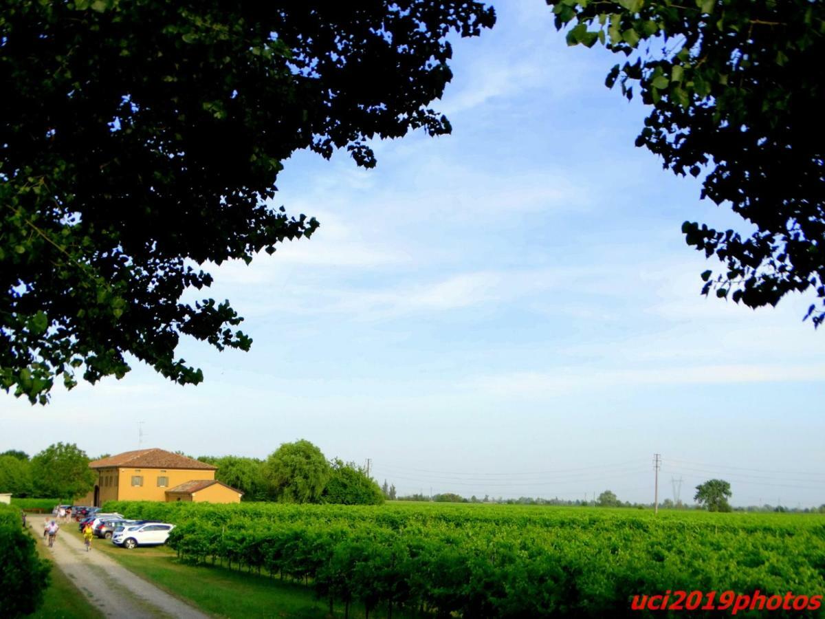 Agriturismo Vitae Fabbrico Exterior foto